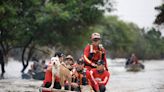 Brasília Hoje: Voluntários criam plataforma para adoção de animais no RS