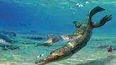 185 million-year-old crocodile ancestor discovered on Britain’s Jurassic Coast