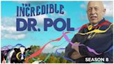 The Incredible Dr. Pol Season 8 Streaming: Watch & Stream Online via Disney Plus