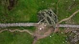 Two men charged with felling Sycamore Gap tree