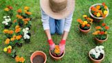 Channeling Elvis Before Gardening Prevents Pain + More Hacks That Block Aches Head to Toe