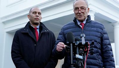 Hakeem Jeffries and Chuck Schumer privately warned Biden his candidacy could imperil Democrats