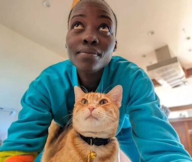 Yoyo, el gato naranja que le salvó la vida a Lupita Nyong’o