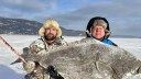 Quebec Anglers Catch Giant Atlantic Halibut Through the Ice