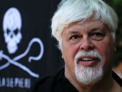 Veteran anti-whaling activist Paul Watson could be extradited to Japan after arrest in Greenland, his foundation says