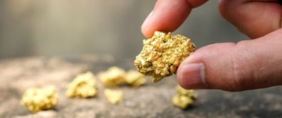 Zijin Mining Reports Surging Net Income, Acknowledges Growing M&A Threats