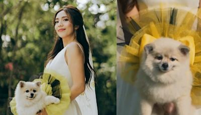 Noiva viraliza com buquê de cachorrinho em casamento nas Filipinas; veja vídeo