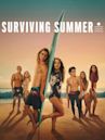 Surviving Summer (TV series)