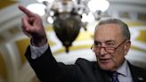 Schumer confronts fellow liberals, pro-Palestinian demonstrators over antisemitism