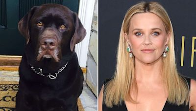 Reese Witherspoon Mourns Death of Her Beloved Dog Hank: ‘We Will Miss Your Sweet Spirit’