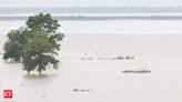 Assam flood situation grim, nearly 23 lakh people affected in 28 districts - The Economic Times