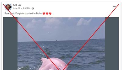 Facebook users fall for AI-generated image of 'pink dolphin'