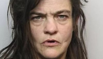 Police hunting for woman who vanished release harrowing mugshot
