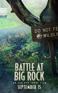 Battle at Big Rock