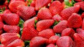 Así puedes saber si las fresas son de España o de Marruecos: el truco más sencillo