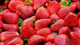 Estas son las personas que no deberían comer fresas