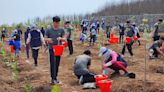 澎湖植樹活動 民眾合力種下樹苗 (圖)