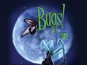 Bugs!