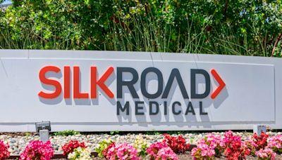 Boston Scientific spends $1.26bn to acquire TCAR specialist Silk Road Medical