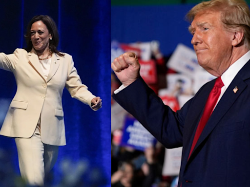 US Presidential Election 2024: Will Taylor Swift support Democrat Kamala Harris or Republican candidate Donald Trump? - The Economic Times