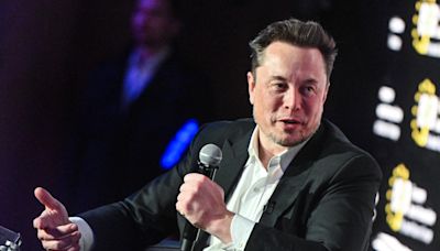 NATO ally leader confronts Elon Musk on claim about alliance