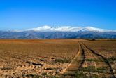 Sierra Nevada (Spain)