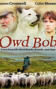 Owd Bob