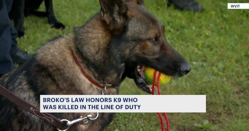 State officials announce enactment of law honoring K-9 killed in the line of duty