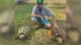 Missing snapping turtle, Thanos, may have been taken from NC rest stop, owner says