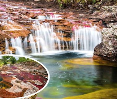 El ÚNICO río de arcoíris en Sudamérica: lo consideran el más bello del mundo