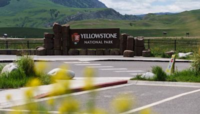 Yellowstone trip ends with a man being arrested for kicking a bison