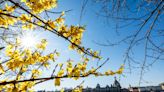 Wetterdienst: Frühling in Deutschland in diesem Jahr so warm wie nie zuvor