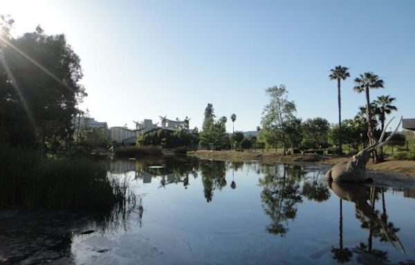 8 teens on La Brea Tar Pits trip hospitalized after ingesting 'cannabis edibles,' Fire Dept. says