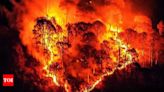 Wild fires and heatwave: North Macedonia proclaims state of crises - Times of India