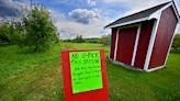 No pick-your-own apples this year at Brookfield Orchards