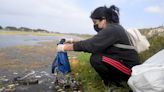 Eco-tip: Coastal Cleanup Day is Sept. 23 and year-round