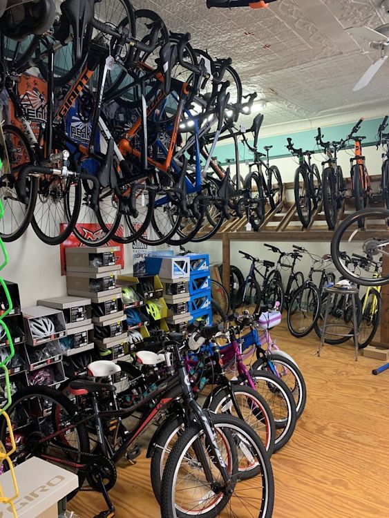 tulip bicycle center & pro shop