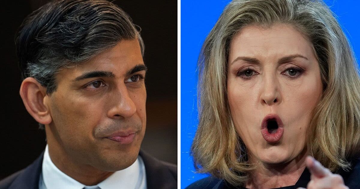 Penny Mordaunt urges Rishi Sunak to avoid one crucial mistake