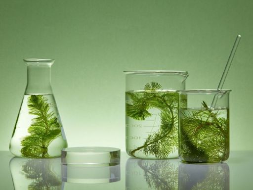 Seaweed and cellulose lead sustainable packaging