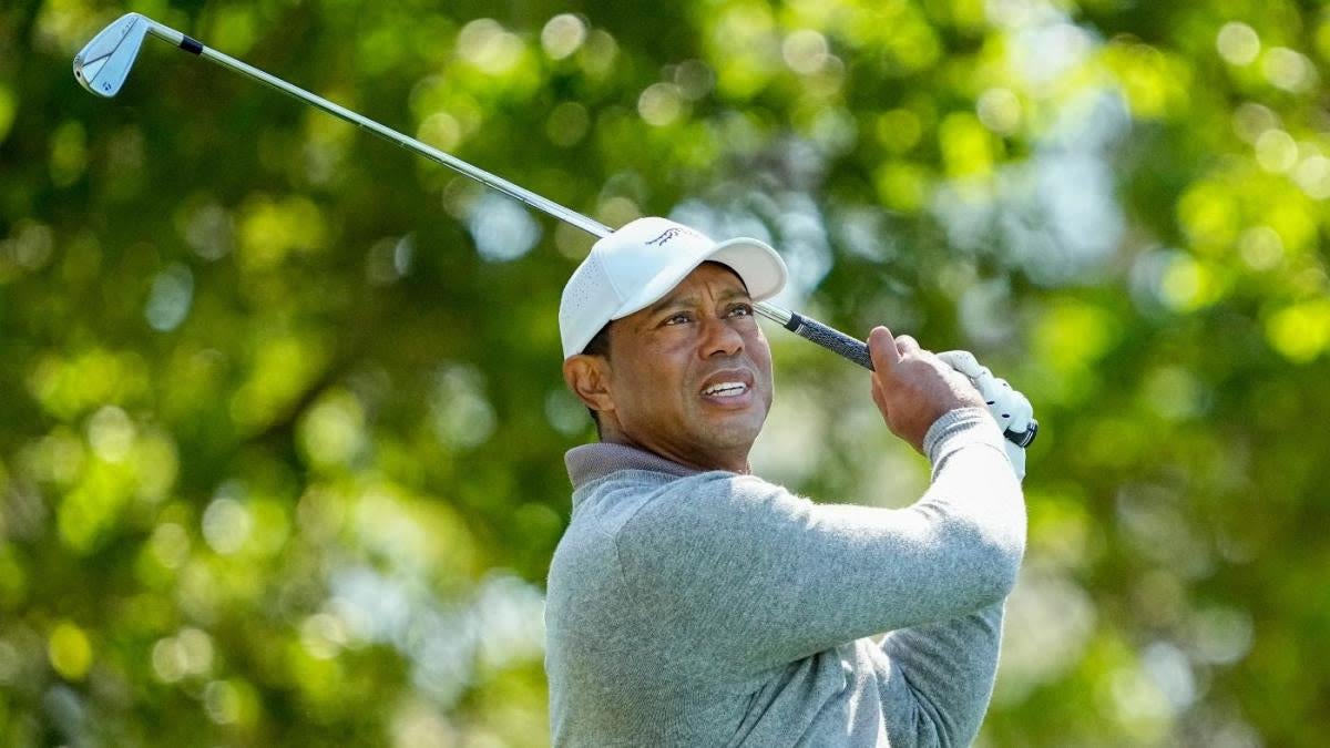2024 U.S. Open odds, golf picks: Tiger Woods, Rory McIlroy predictions from model that nailed the Masters, PGA