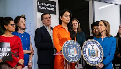 In Sex Crimes Cases, New York Weighs Allowing Evidence of Prior Bad Acts