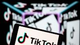 TikTok: Are influencers panicking about bans? We asked three to weigh in.