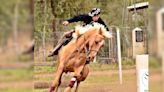 Murió un jinete santafesino tras caer de su caballo en el festival de doma en Arrecifes