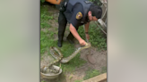 Police Round Up Large Python In Houma Back Yard | News Talk 99.5 WRNO