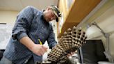 To save spotted owls, US officials plan to kill hundreds of thousands of another owl species