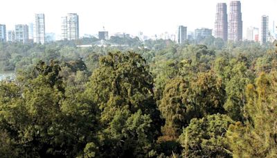 Programa de Manejo: Sociedad civil ve limitado proyecto para Chapultepec