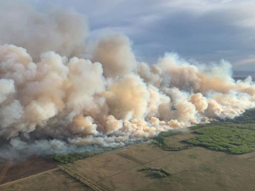 Canada's 2023 wildfires burned huge chunks of forest, spewing far more heat-trapping gas than planes