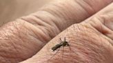 Third pool of Ross County mosquitoes test positive for West Nile Virus