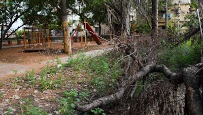 HC directs Madurai Corporation to file detailed report on maintenance of parks in city