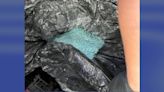 Border agents stop woman’s attempt to smuggle 93 pounds of fentanyl, officials say